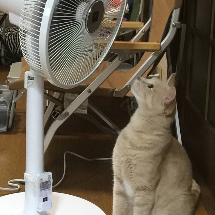 36571c67 9dc9 4cab a230 8674f3baaf74