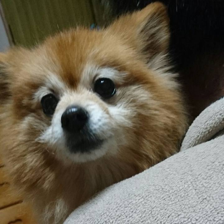 36579486 6543 4ca1 afeb a0f711f8edf6