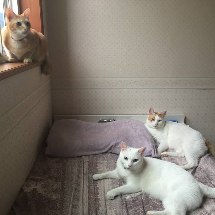 3657e85e fb28 41d4 91db 37571e30e616