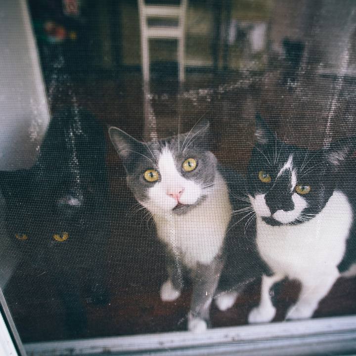 3659013d f01c 4bab 81c4 379830b0f6a7