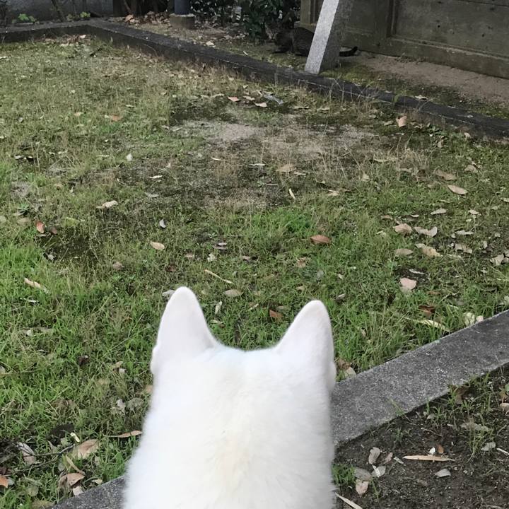 365980ac 3719 4d49 9acf 75457454f24e