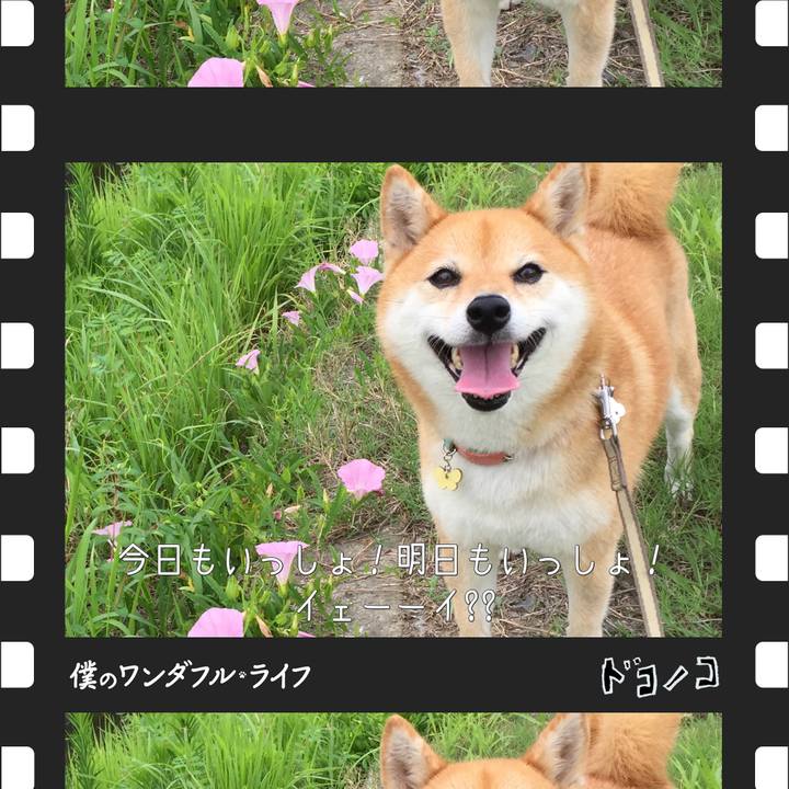 3659dcba 0b90 438a a200 6c004055eef6