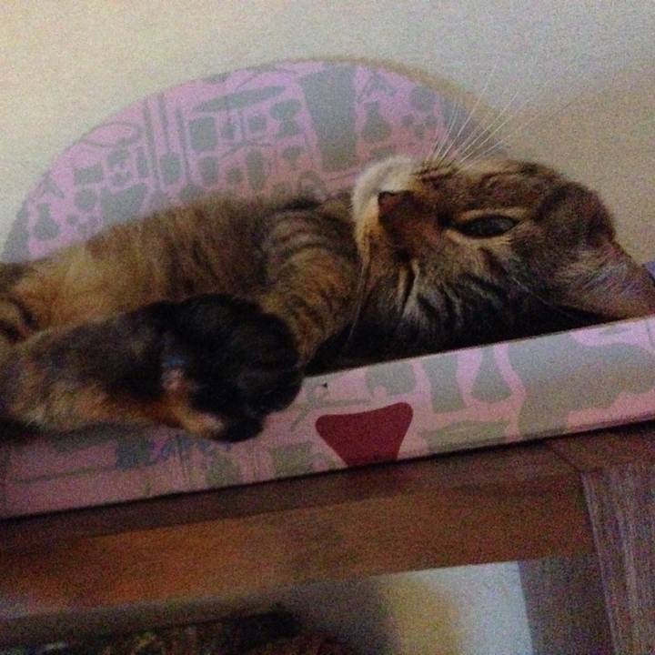 365aa1bb 15a1 47e7 89d5 2bfce67d8746