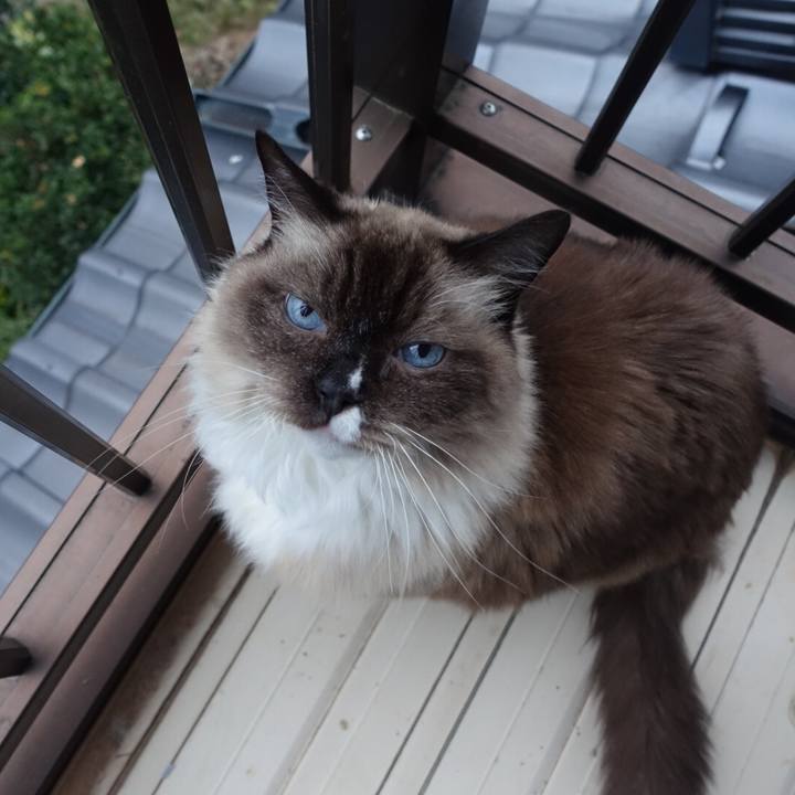 365bc1f2 8dcc 4537 854b 7d77ae165a6b