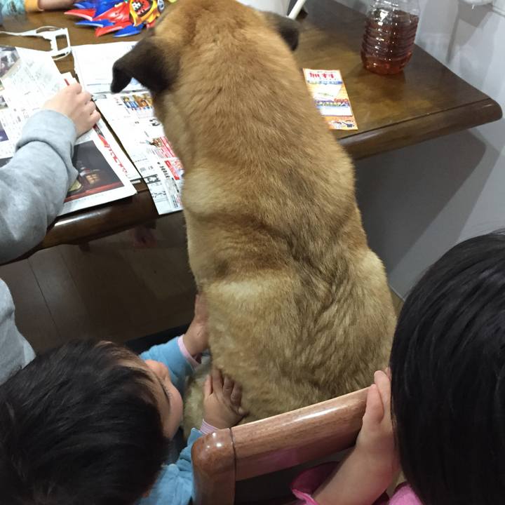 365be8b2 0f5a 4276 a1c5 49931b0705ff