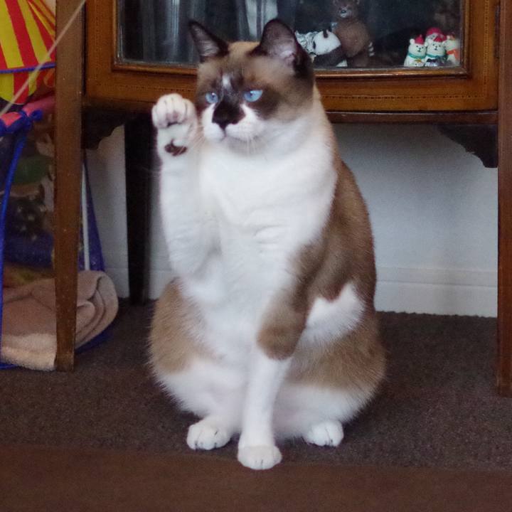 365c30c2 0493 469b 905c 9145a7fdcff5