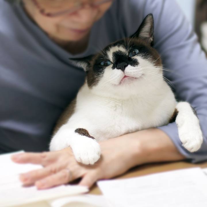 365c5512 d674 4ce4 a7c9 7dab38d43aee