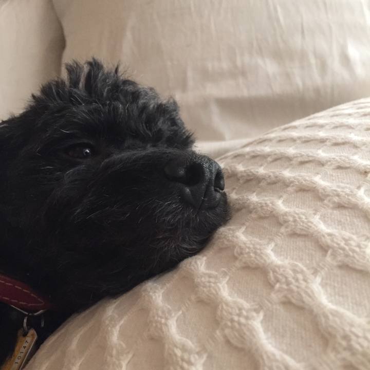 365cd34d a26f 4277 a256 4a493206cec9