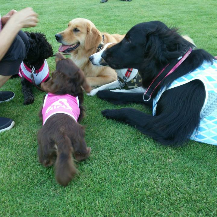 365d55d3 e0c9 4797 990c e1e59a0ab680