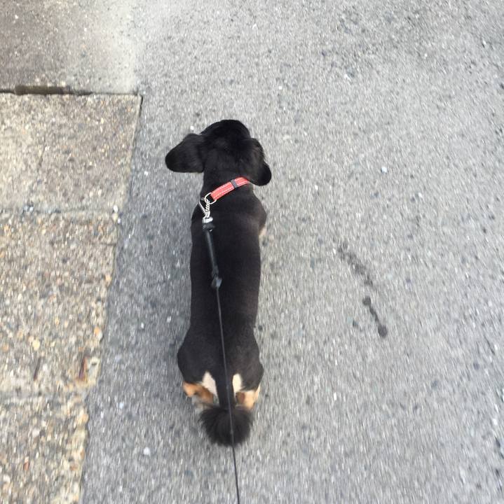 365d6ea0 dfa7 4ea8 98d6 a126f62bb016