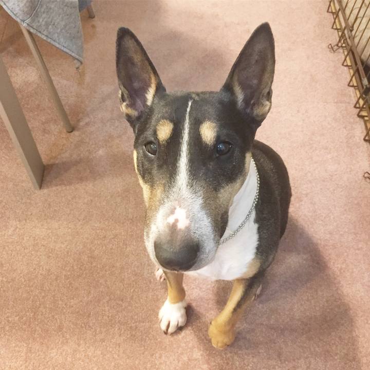 365d9da0 7862 4ad3 a2b5 c49949a7dc61