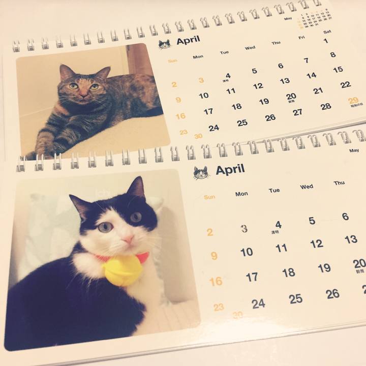 365e7953 16cb 416e 872c dee549776b5e