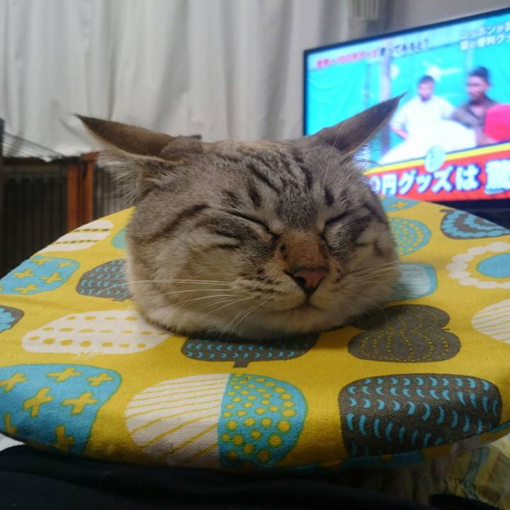 365f8ff0 93e6 43fc ab28 7ffcb2517b5b