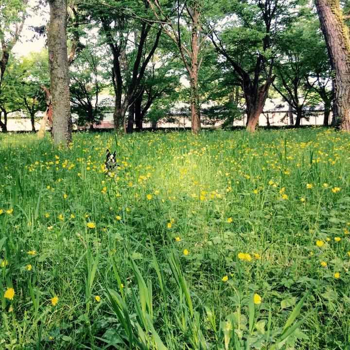 3660982c 22e3 46a1 83a1 33b33d2ea347