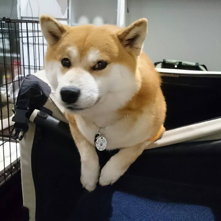 36609894 9e78 4c30 bbbe 2e10948e764c