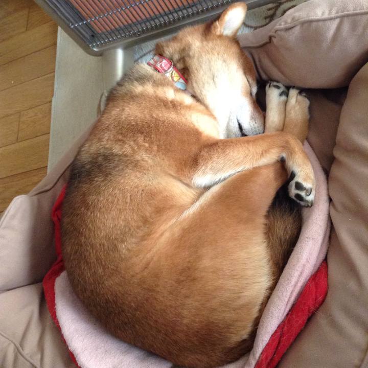 3661e0b9 2e9c 48d1 9599 9cffe675a706