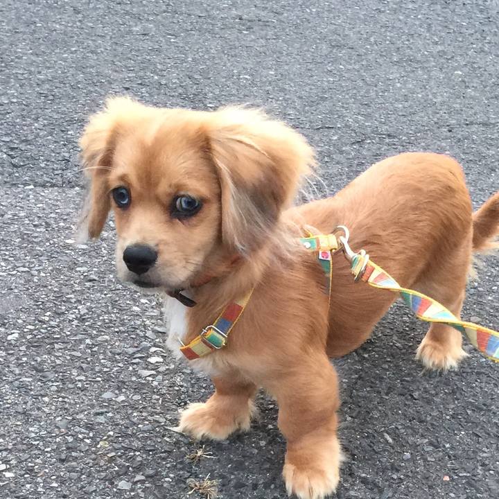 36622b0b c348 445c a4e9 a12ea3f2e11c