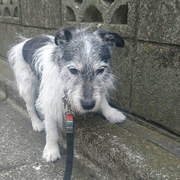 366232bf 4a89 45c1 9dcf 15a9a2a43399