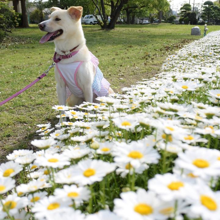 36641698 9288 4703 9334 1c52a095df70