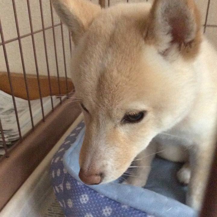 36642471 e472 418a 84a9 77accb44ac37