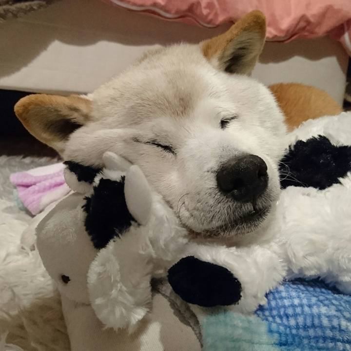 366470ae 9e51 4599 bbe4 93f2f3fd5bdf