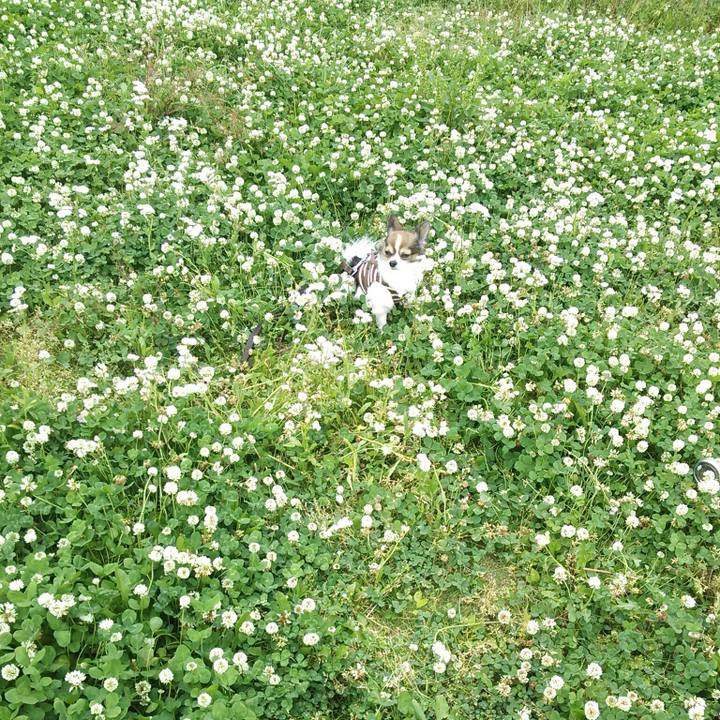 36649f5a 374a 4bbf b826 e9246c0dad4b