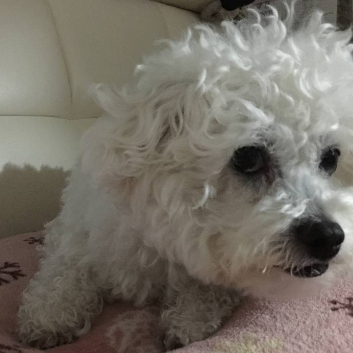 36659cf7 f0b5 4fed 93f7 524716943dea