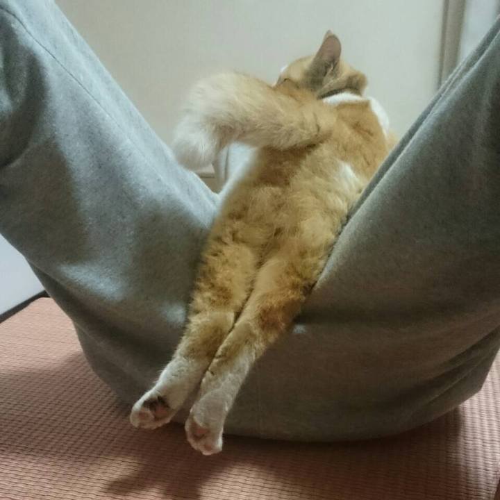 36666469 c551 4e81 bfc9 0fcc552291f6