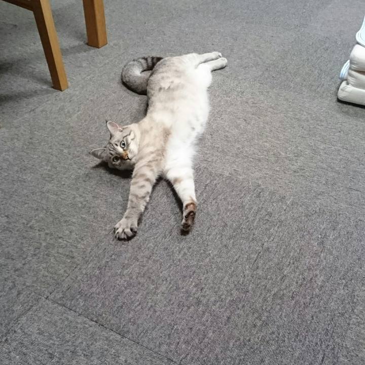 366682e7 e8f8 4645 a320 408c9dc4f25e