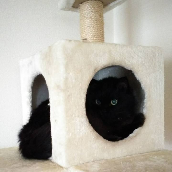 3666aecb a94a 4789 8bba 0993ef139f41