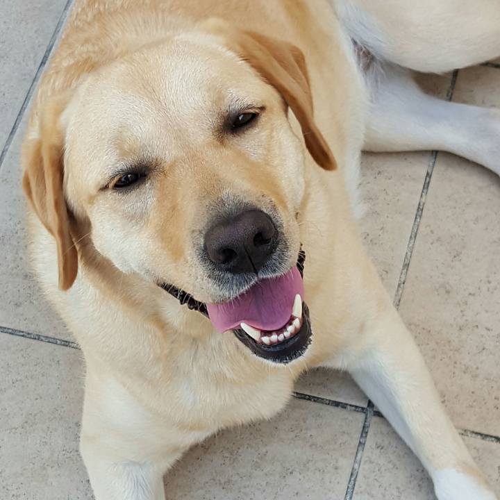 36670e54 4159 472d bad3 bb6fc014ecb6