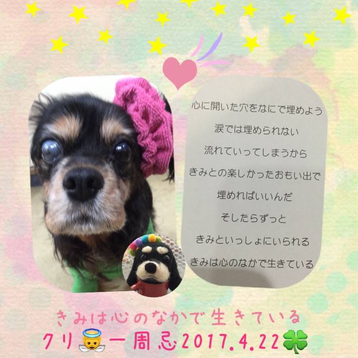 3667227e 6f45 4140 9521 4b9a14f870fb