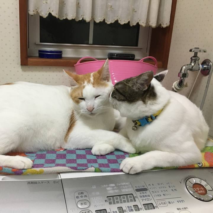 36674d7c a61c 4cdd 9a9f fd920e28bec1