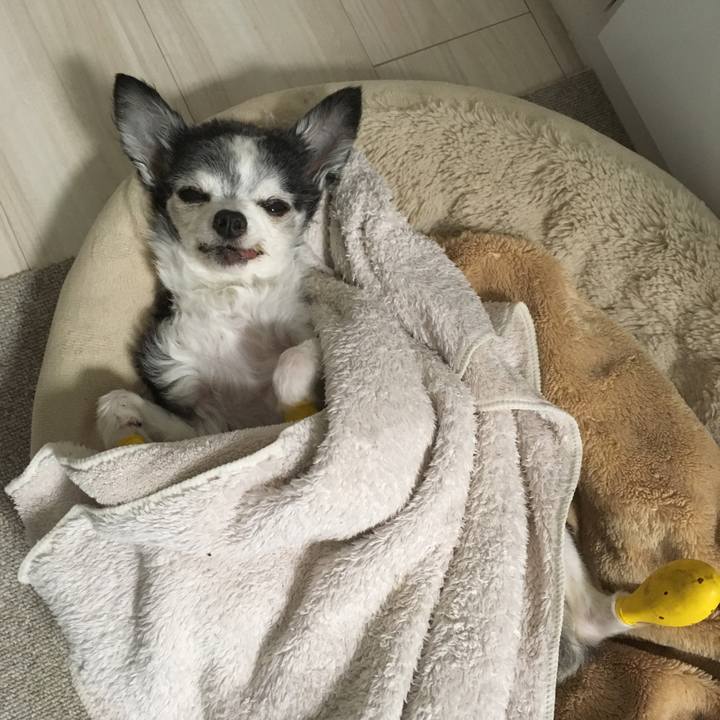 3667b1c0 b723 44f6 89d7 6f6045760d99