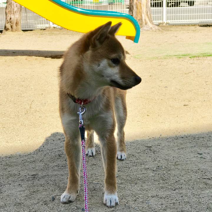 36682923 956e 4f17 a65c a97123e3e6a8