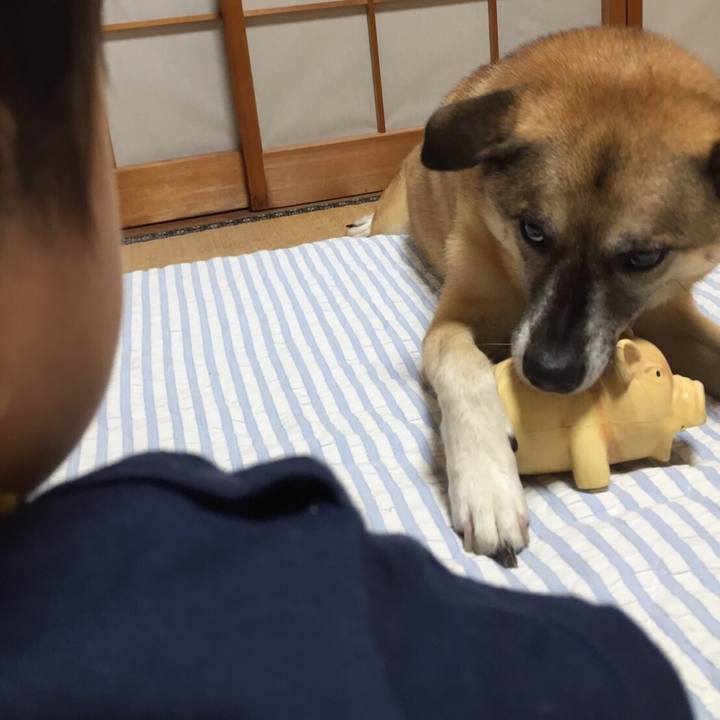 36682a6d e990 4e11 9c37 38f964756e94