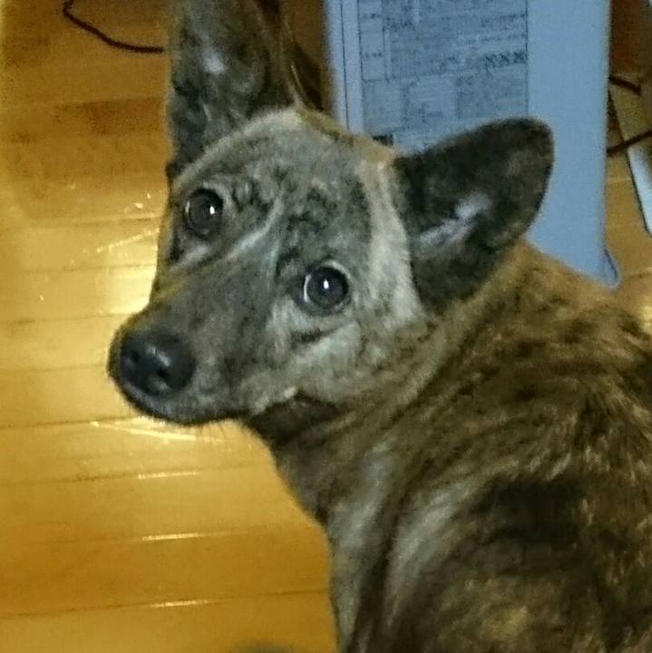 3668350e baa5 4041 92fa 0abed33138fb