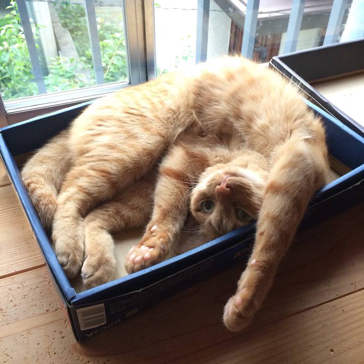 36684c19 c795 4a54 839b e5879fc5d743