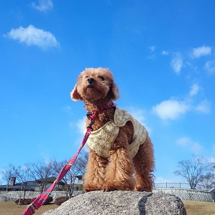 366934e5 73f4 43e8 9106 b2a15aea1fdc