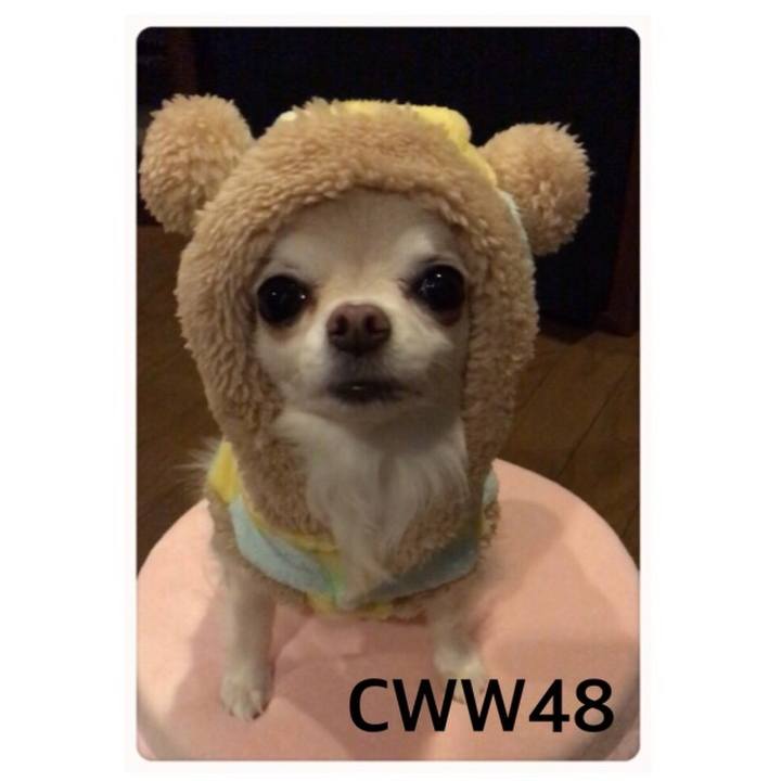 3669b326 6558 4f26 822d b68b54c8424b