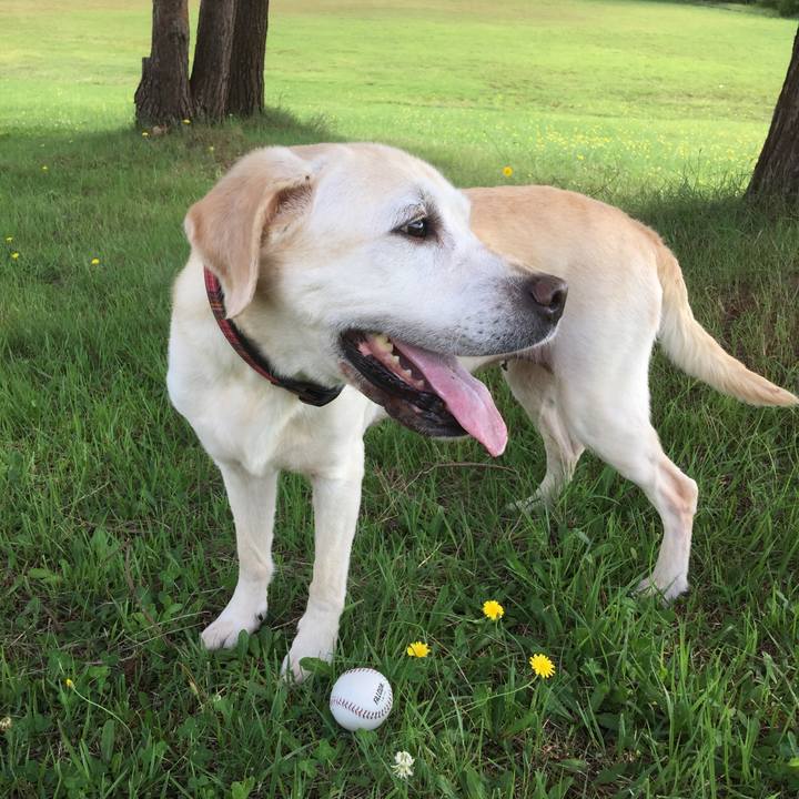 3669b916 1e26 4aaa 8095 37f88ad4db47