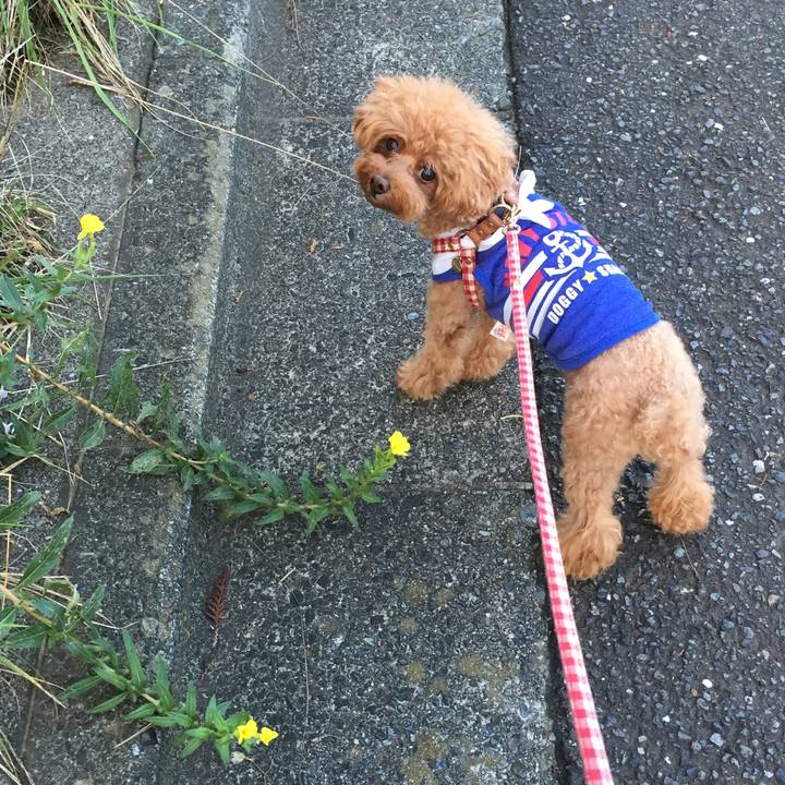 366ab65b 56b8 4972 be04 36786b4ae165