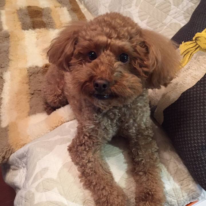 366b1ad5 c4da 4253 a7fa 98c79d7e0531