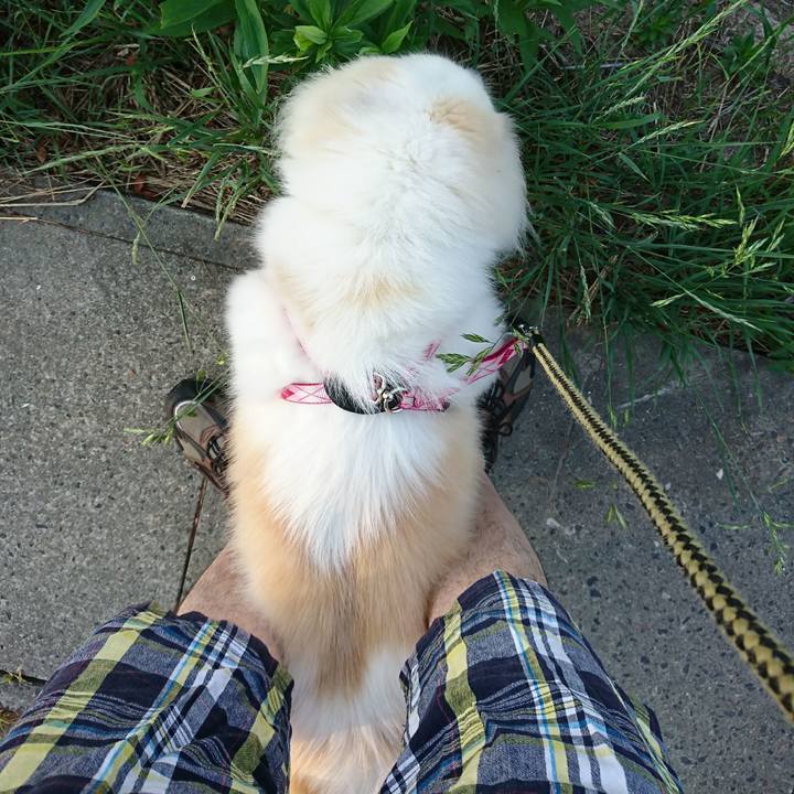 366b5ac5 94c5 4c45 95b5 c6a9a3f4526d