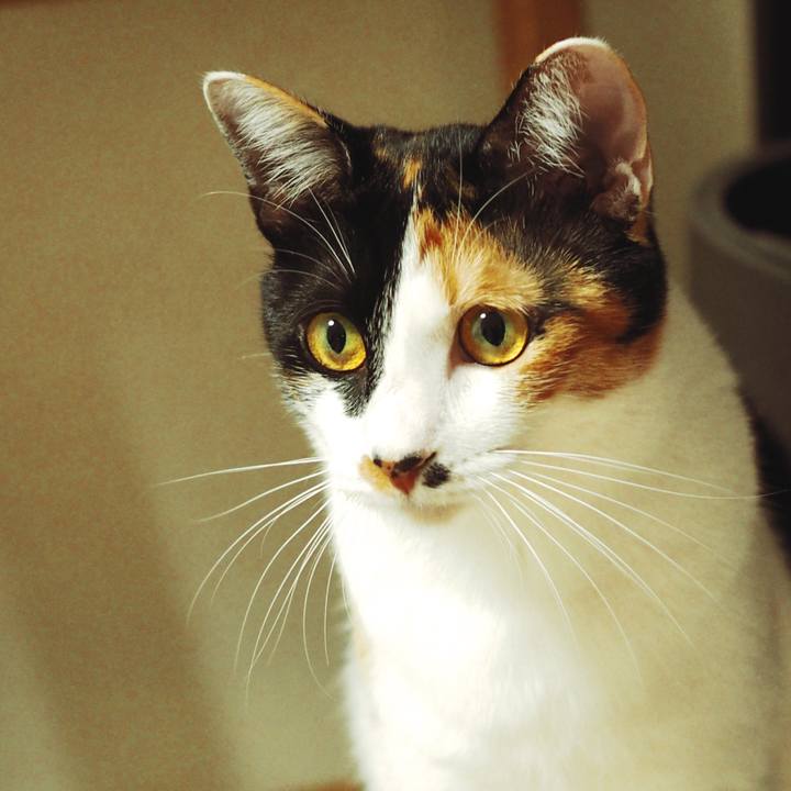 366c0889 35ec 46de 9bf0 33a36b110b6e