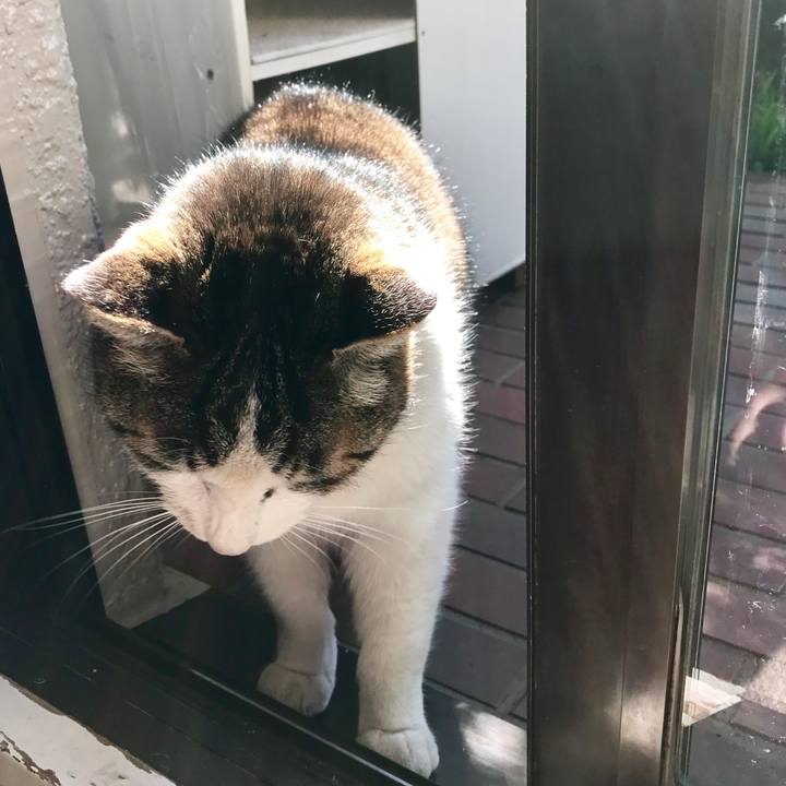 366c47cb 793b 476a 8327 12a2d20598de