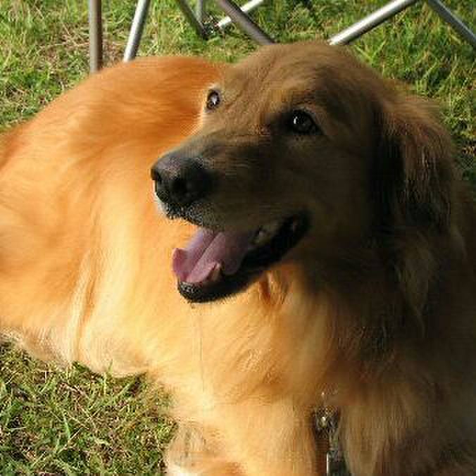 366c543c c844 431a a464 5bd3e1d08cec