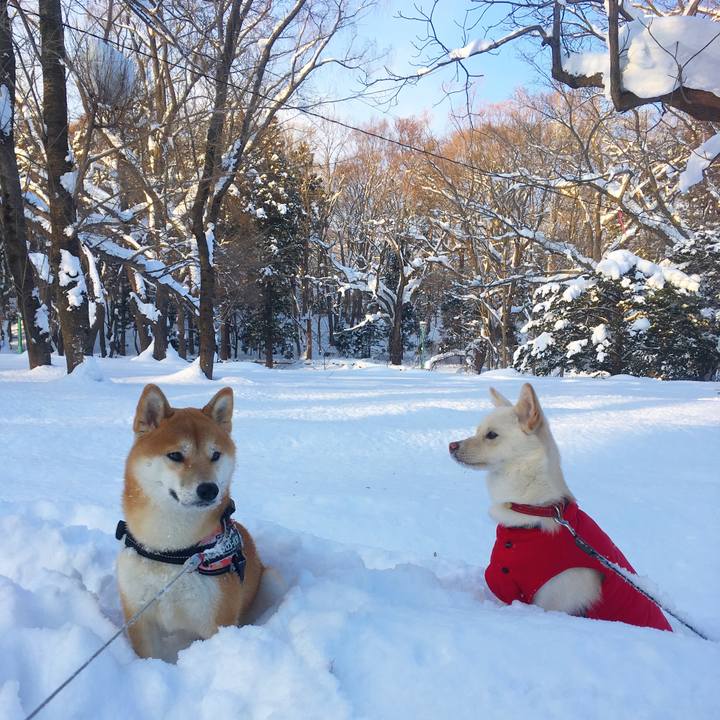 366ce743 4e3c 448d a215 2daead6ae76d