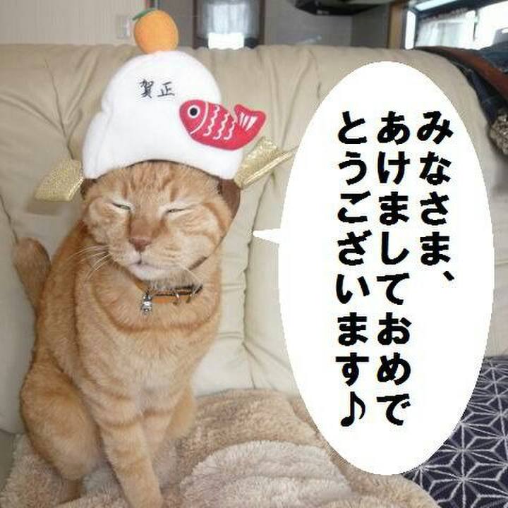 366cf51c bec1 4309 9285 c8da193e2f25