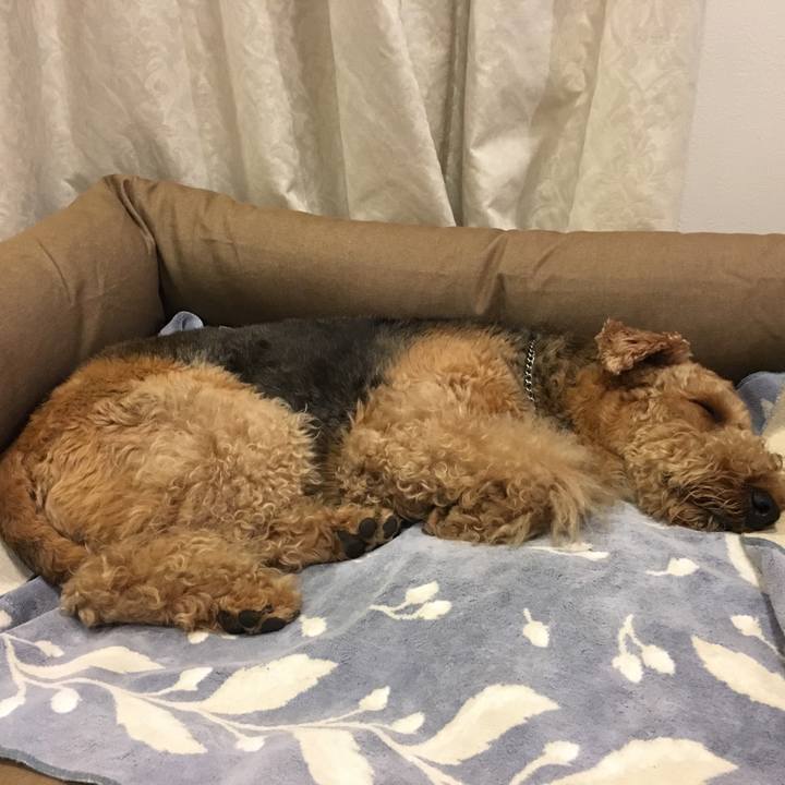 366d4ab6 0b1c 4ed6 ab9b 5724d93e3b03